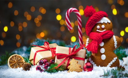 Best_Christmas_Lunches_In_Melbourne_-_Melbourne_River_Cruises